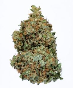 Organic Platinum Kush (AAAA)